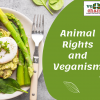 Animal Rights and Veganism / Vegetarianism